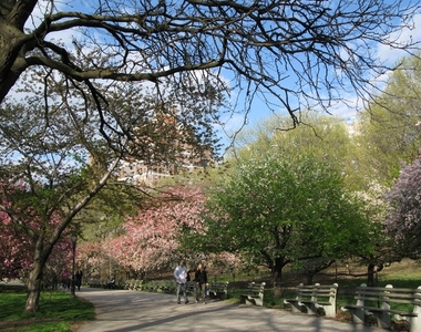 Upper West Side - Photo Thumbnail 10