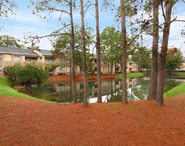 1302 Coopers Town Court - Photo Thumbnail 25