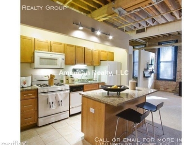 1350 North Wells St. Apt 302e - Photo Thumbnail 51