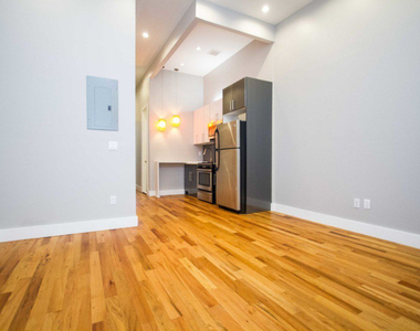 14 Locust St Brooklyn, NY 11206, USA - Photo Thumbnail 1