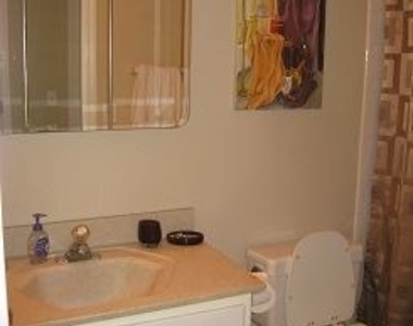 722 W Briar Pl - Photo Thumbnail 8