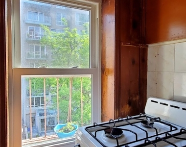 343 east 109th  - Photo Thumbnail 7