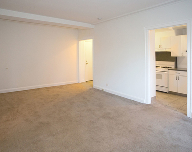 5242 S Hyde Park Blvd - Photo Thumbnail 70