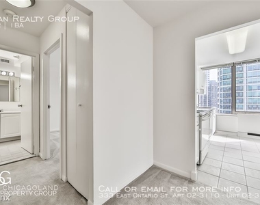 333 East Ontario St. Apt 02-3110 - Photo Thumbnail 72