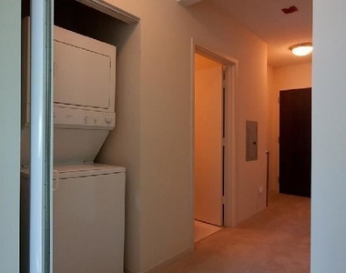 345 East Ohio St. Apt 1707 - Photo Thumbnail 41