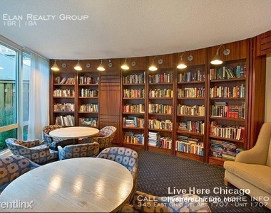 345 East Ohio St. Apt 1707 - Photo Thumbnail 80