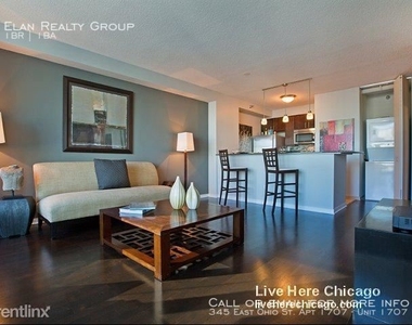 345 East Ohio St. Apt 1707 - Photo Thumbnail 73