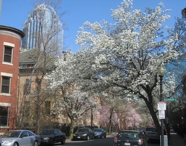 Saint Botolph St. - Photo Thumbnail 4