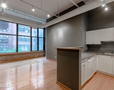 333 W Hubbard St 202 - Photo Thumbnail 2