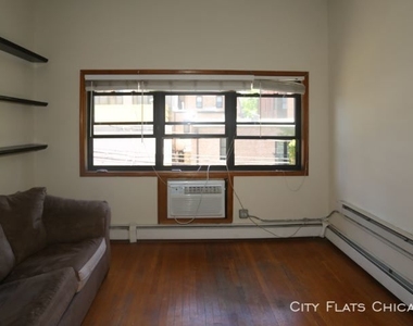 1435 N. Dearborn - Photo Thumbnail 4