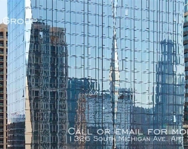 1326 South Michigan Ave. Apt 3812 - Photo Thumbnail 21