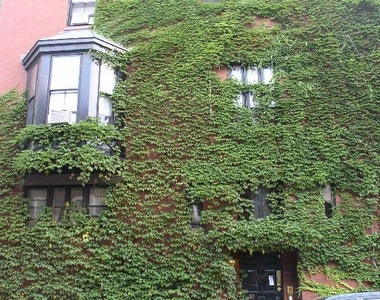 49 Brimmer St. - Photo Thumbnail 4