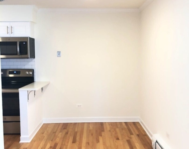 1022 W Catalpa Ave Apt 403 - Photo Thumbnail 3