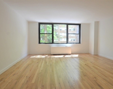 333 East 49th Street - Photo Thumbnail 1