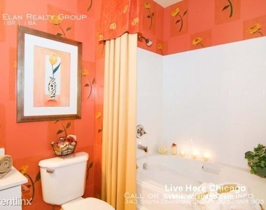 343 South Dearborn St. Apt 305 - Photo Thumbnail 47