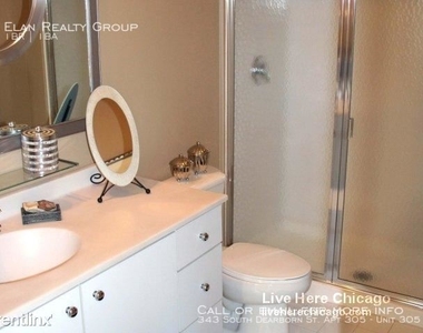 343 South Dearborn St. Apt 305 - Photo Thumbnail 78