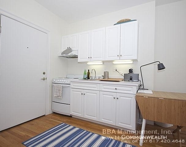 483 Beacon St - Photo Thumbnail 8