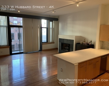 333 W Hubbard Street - Photo Thumbnail 0