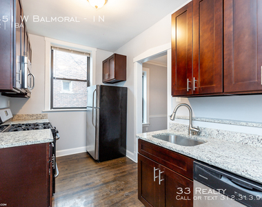 1451 W Balmoral - Photo Thumbnail 0