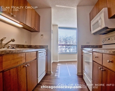 175 N Harbor Drive - Photo Thumbnail 124