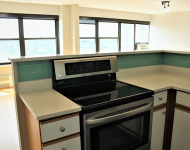 3410 North Lake Shore Drive - Photo Thumbnail 11