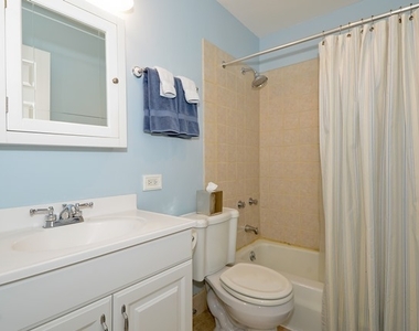 1560 North Sandburg Terrace - Photo Thumbnail 8