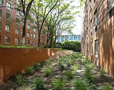 410 West 53rd Street - Photo Thumbnail 6