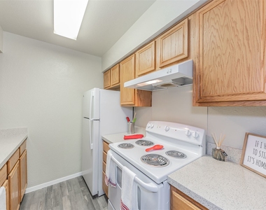 3523 Fawn Valley Dr Apt 1009 - Photo Thumbnail 12