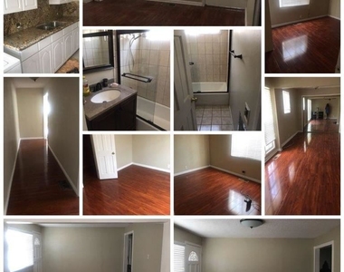 813 Larch St Apt A - Photo Thumbnail 9