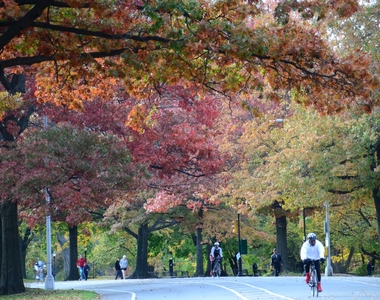 Cortelyou Rd/Ditmas Park - Photo Thumbnail 11