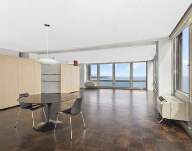 880 North Lake Shore Drive - Photo Thumbnail 5