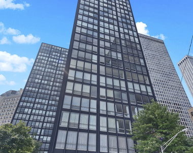 880 North Lake Shore Drive - Photo Thumbnail 1