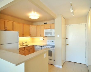 1360 North Sandburg Terrace - Photo Thumbnail 3