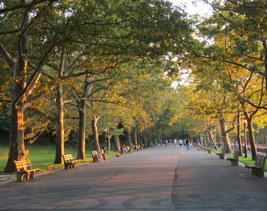 West 76th Street & Amsterdam Avenue - Photo Thumbnail 3