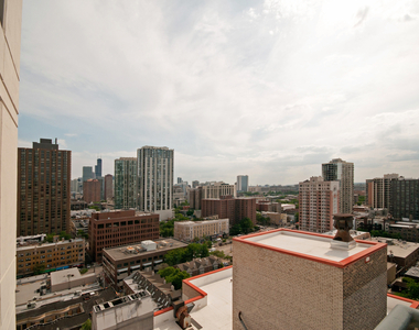 1250 North Dearborn Street - Photo Thumbnail 15