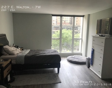 227 East Walton Place - Photo Thumbnail 5