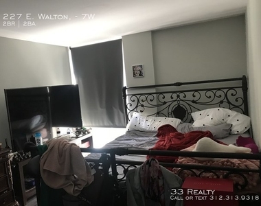 227 East Walton Place - Photo Thumbnail 7