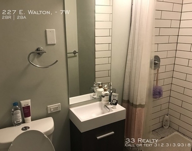 227 East Walton Place - Photo Thumbnail 6