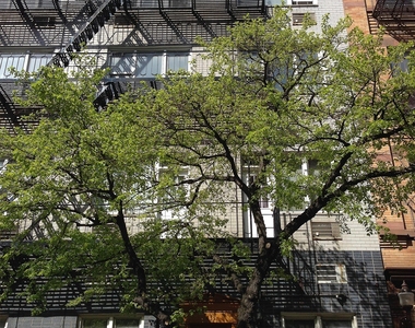 East 83rd Street - Photo Thumbnail 2