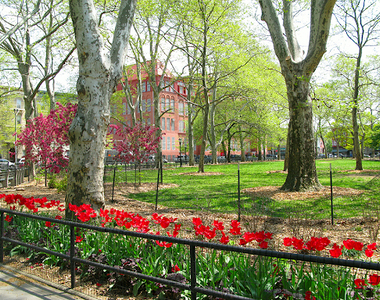 newel st and Driggs Avenue - Photo Thumbnail 0