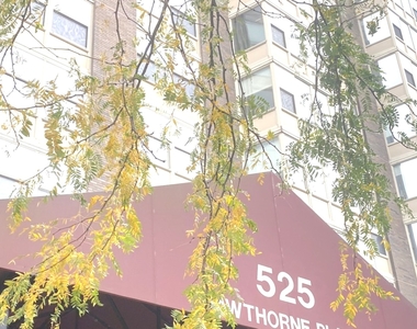 525 West Hawthorne Place - Photo Thumbnail 0