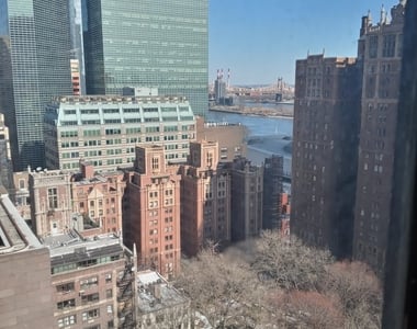 320 East 42nd Street - Photo Thumbnail 4