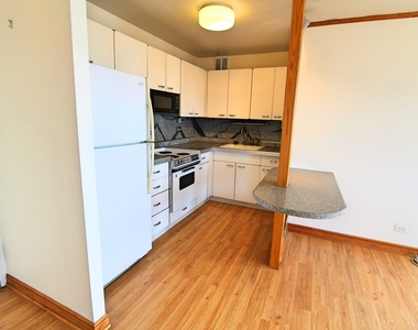 2626 North Lakeview Avenue - Photo Thumbnail 2