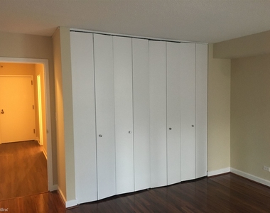 10 E Ontario St Apt 802 - Photo Thumbnail 15