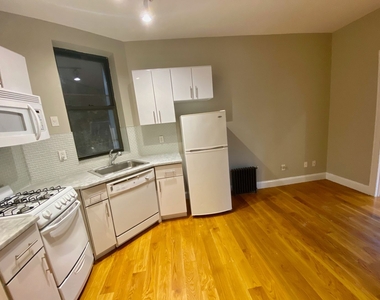 163 Chrystie Street - Photo Thumbnail 1