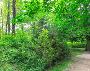 21623 16th Drive Se - Photo Thumbnail 16
