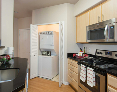 145 Chestnut Street - Photo Thumbnail 8