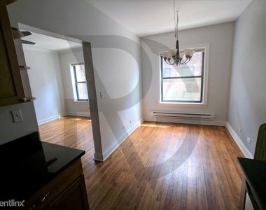 748 W Addison St 1s - Photo Thumbnail 4