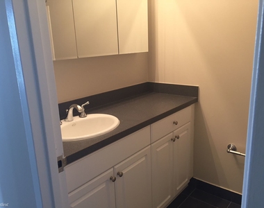 10 E Ontario St Apt 4106 - Photo Thumbnail 12