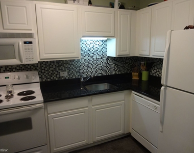 10 E Ontario St Apt 3810 - Photo Thumbnail 2